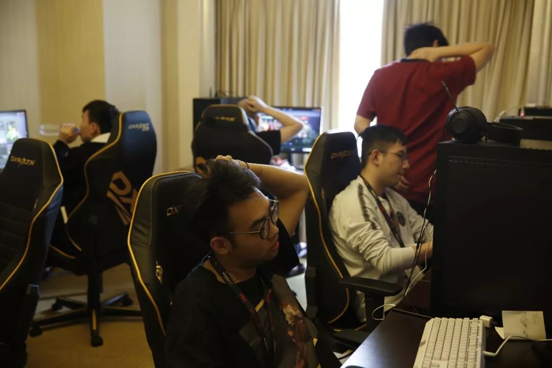 南虎在对抗 南虎在对抗